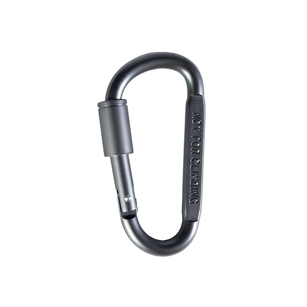 Metal Carabiner with Screw Lock Silver